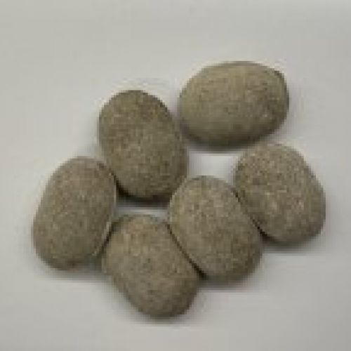 IMG 4976