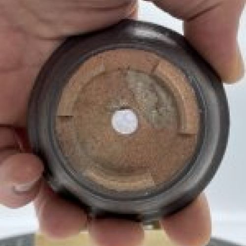 Minimaceta A 99