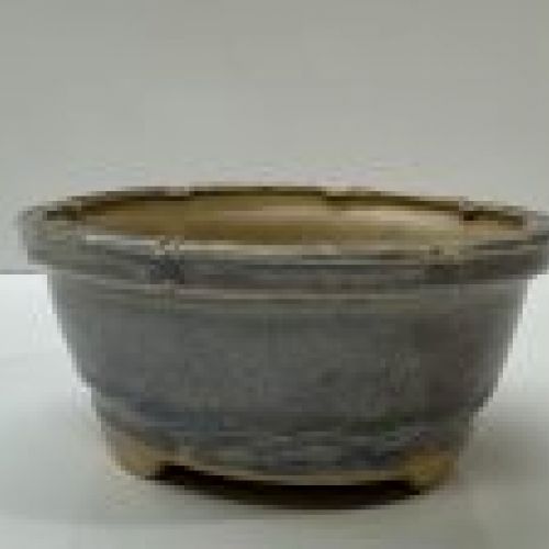 IMG 0527 2