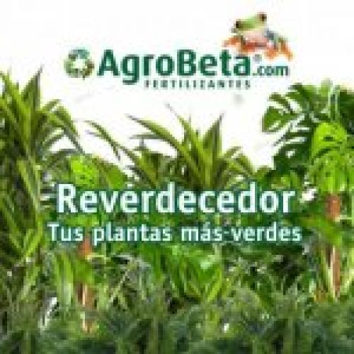 agrobeta reverdecedor