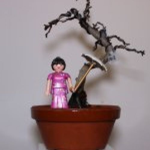 IMG 0050