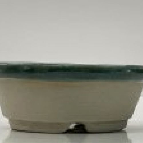 IMG 0981