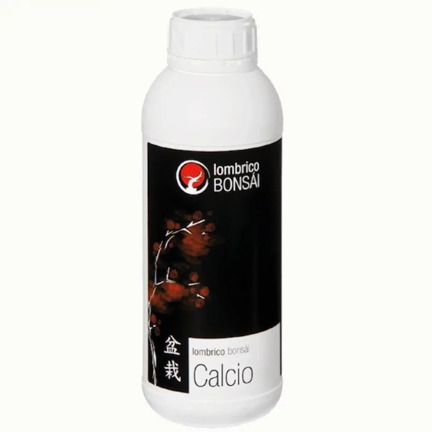 calcio