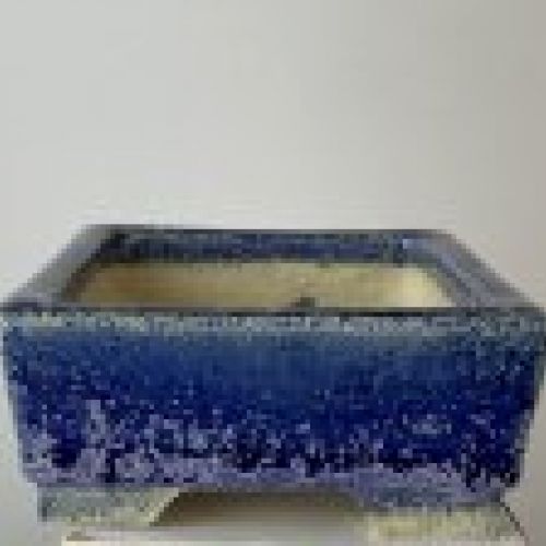 IMG 7887