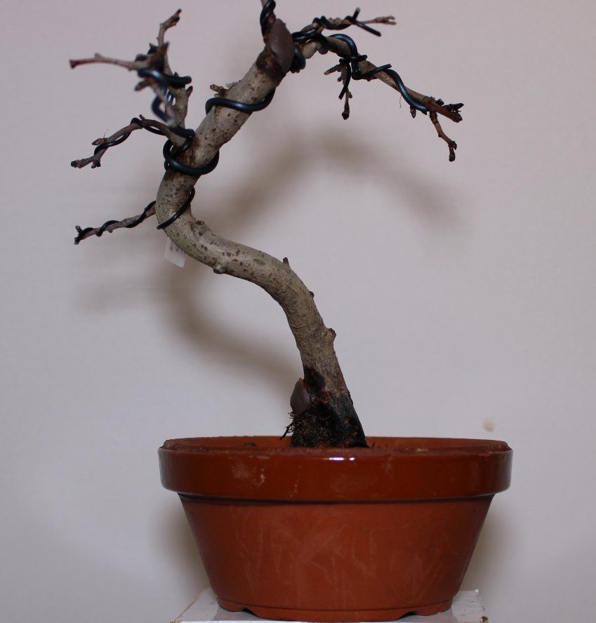 IMG 0048