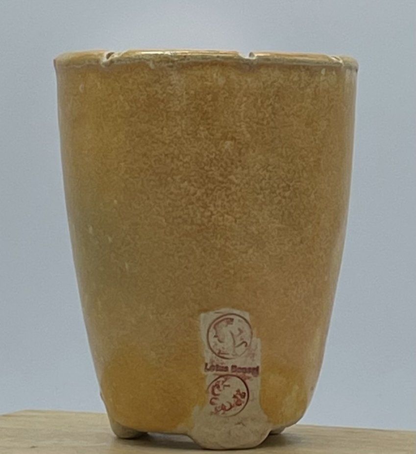 Minimaceta A 73