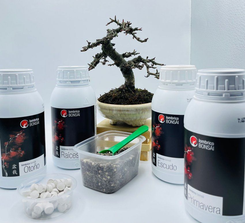 Abono líquido lómbrico raíces