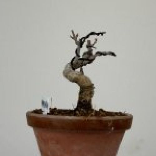 IMG 0200