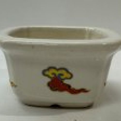 IMG 0567