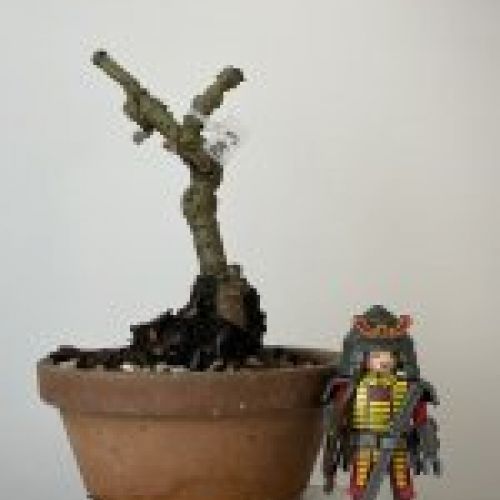 IMG 0841