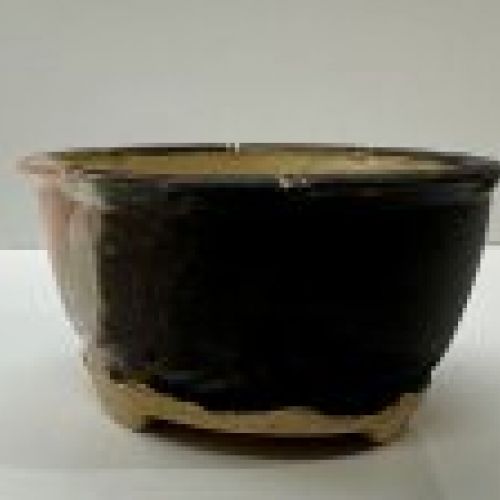 IMG 0520