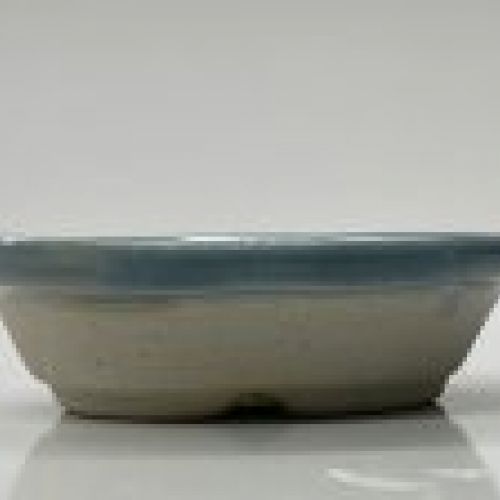 IMG 0956