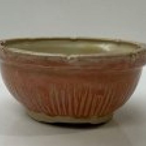 IMG 0524