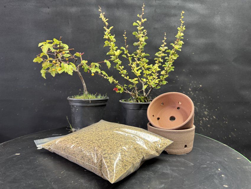 561150ba4ff2f5b7c1069f437e9ddba09807b8bc