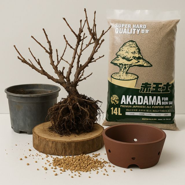 09AA517C 8AB7 4AF3 BA47 C24FAC6386E8.JPG