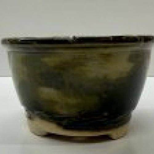 IMG 0509