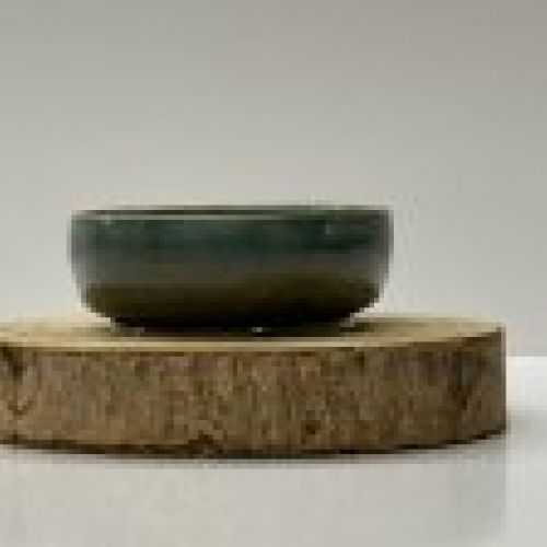 IMG 7862