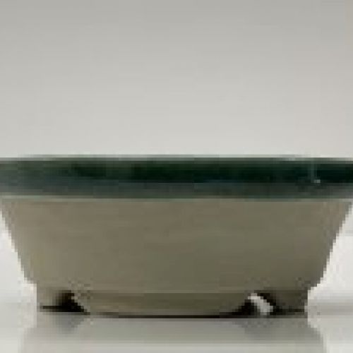 IMG 0971