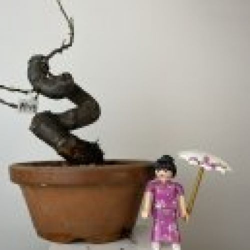 IMG 0861