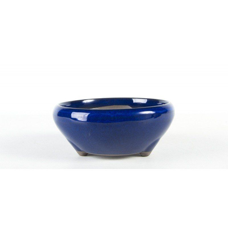 E50 1