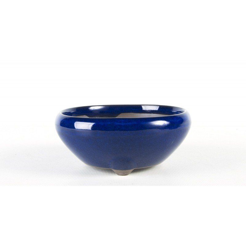 E50 3