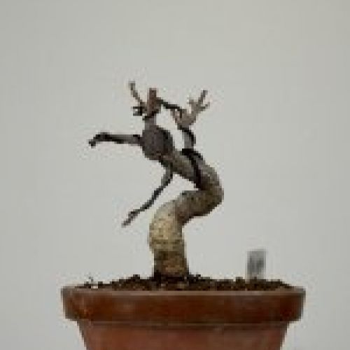 IMG 0198