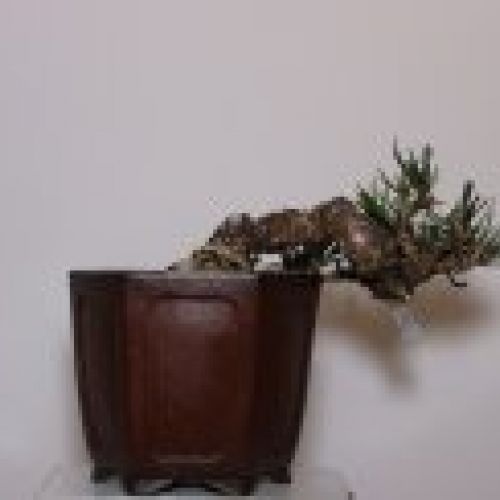 IMG 0027