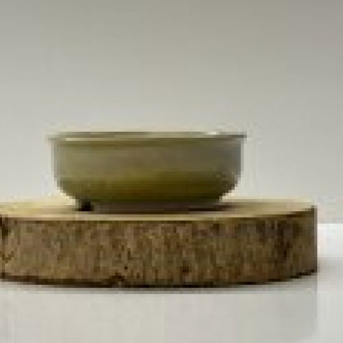 IMG 7841