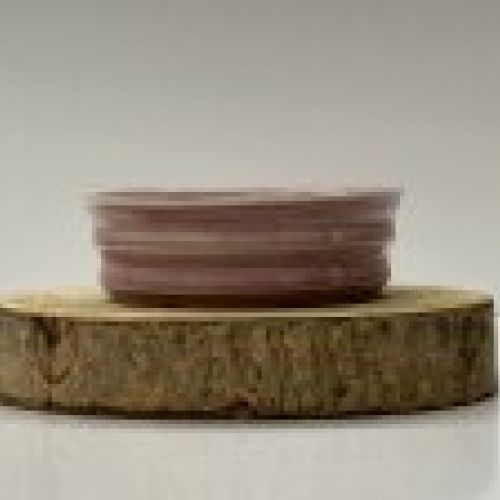 IMG 7784