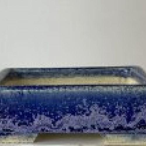IMG 7886