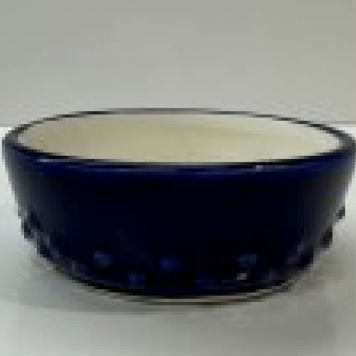 IMG 0543