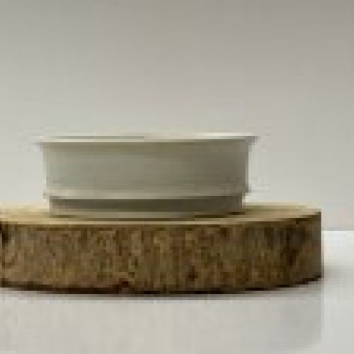 IMG 7874