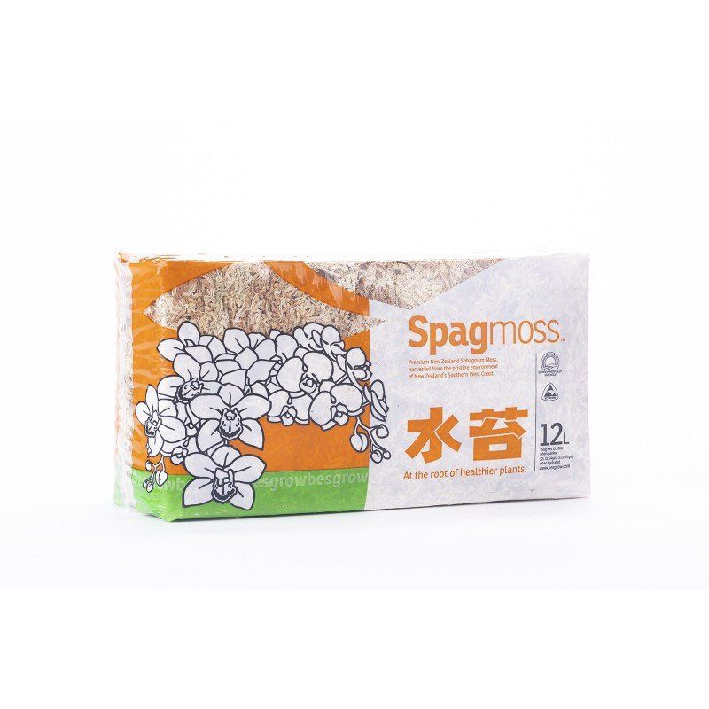 musgo sphagnum bonsai 150gr