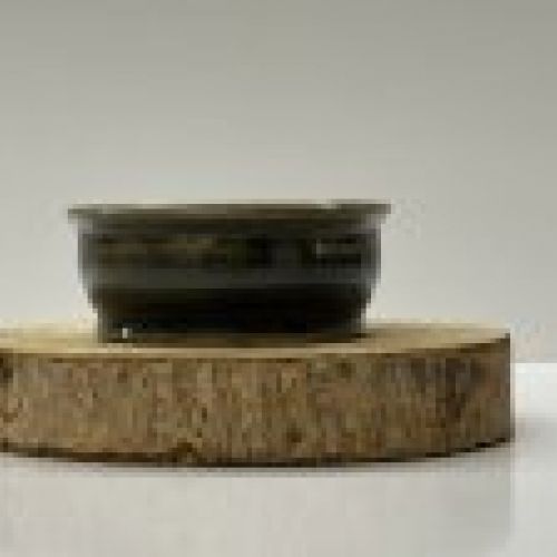 IMG 7847