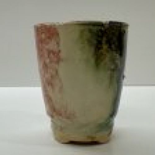 IMG 0513