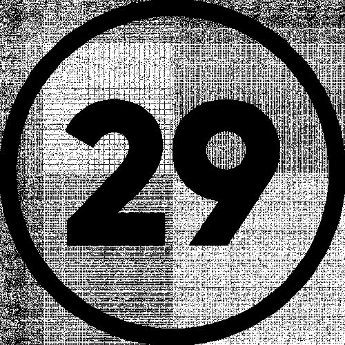 29